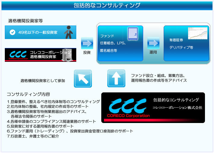 適格 機関 投資 家 と は